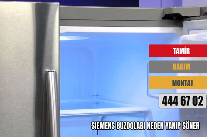 Siemens buzdolabı neden yanıp söner? 5 Kontrol Noktası